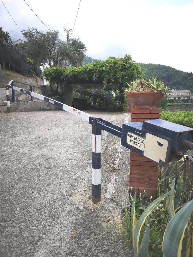 特拉蒙蒂Casa Dima别墅 外观 照片